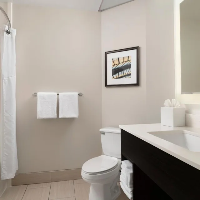 Specialty, Holiday Inn Express Hotel Amp Suites New Orleans Airport South 4/4
