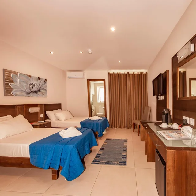 غرفة ديلوكس بسريرين منفصلين، CERVIOLA HOTEL 3/6