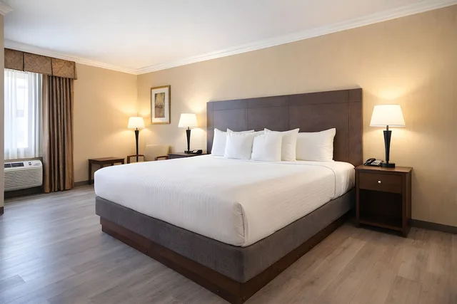 Standard, King Bed, Best Western Davison Inn 5/10