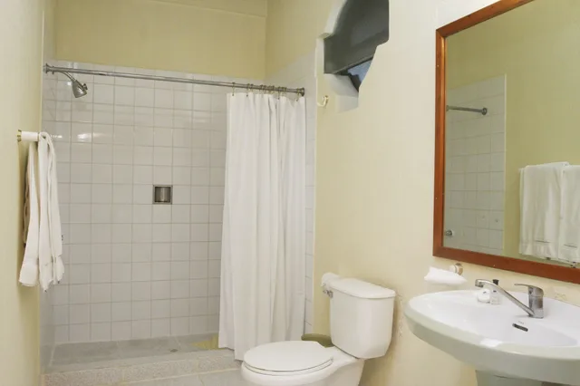 غرفة قياسية بسريرين مزدوجين، Hotel Del Patio 6/7