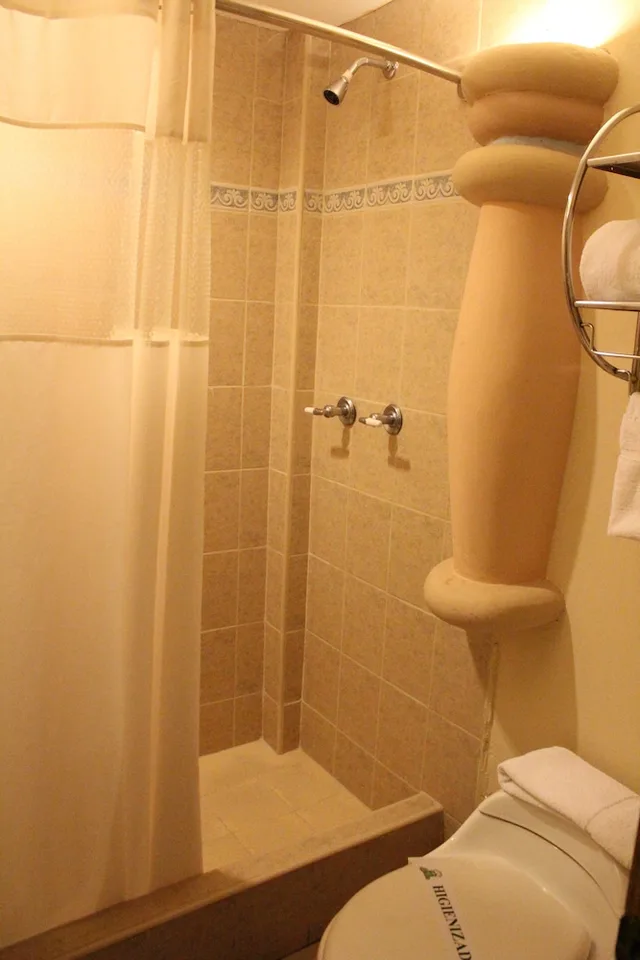 غرفة قياسية بسرير كوين، Boutique Hotel La Cordillera 8/8