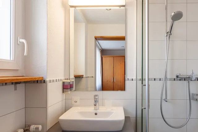 Alpine, Single، Hotel Jaegerhof 12/12