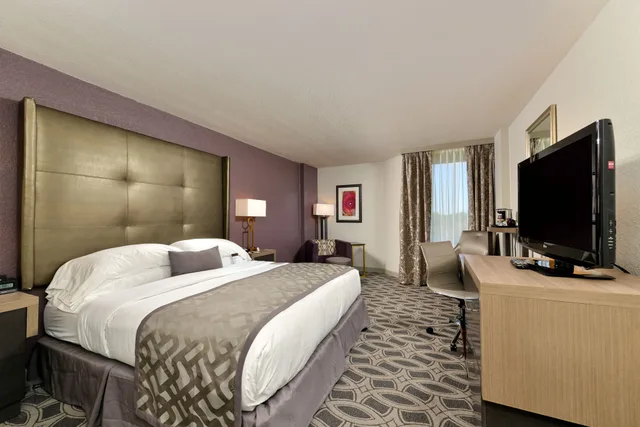 Pure, Wellness, King Bed, Accessible، DoubleTree by Hilton Orlando East - UCF Area 1/3