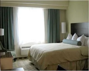 Standard, Double Bed, Four Points By Sheraton Fort Lauderdale Airport - Dania Beach 1/3
