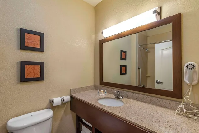 جناح بسرير كينج مع أريكة لذوي الإعاقة، Comfort Suites Montgomery East Monticello Dr 6/8