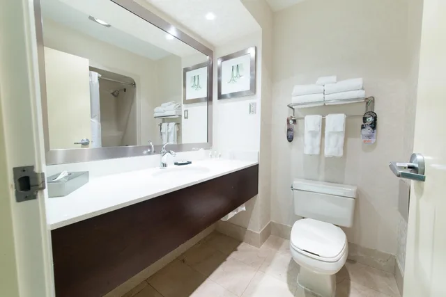 Suite, King Bed, Sofa, Holiday Inn Suites Windsor Ambassador Bridge 8/10