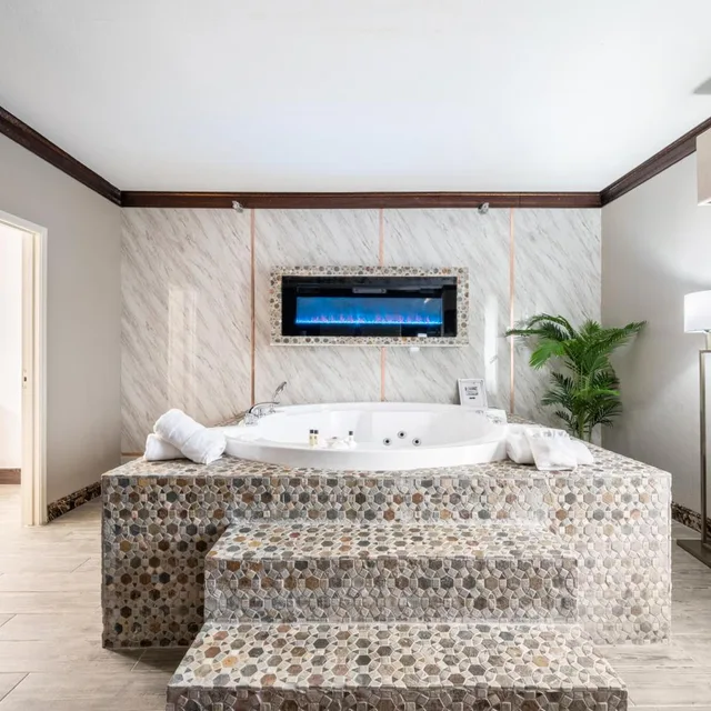 جناح سوبيريور ركني بسرير كينج، The Leo Collection Detroit, an Ascend Collection Hotel 2/2