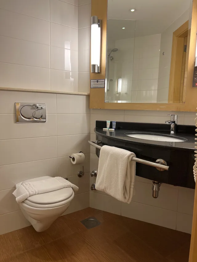 Premium, Double Bed, Harbour View, Ibis Yanbu 5/5