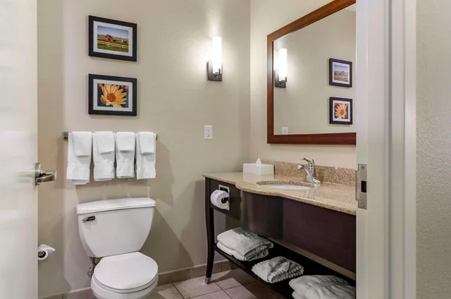 جناح بسريرين كوين يُسمح فيها بالحيوانات الأليفة، Comfort Suites Helena Airport 6/7