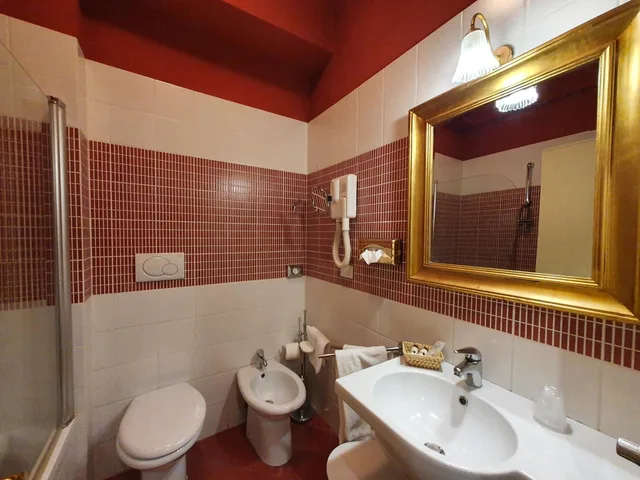 غرفة سوبيريور بسرير كينج، Hotel Continentale 8/10