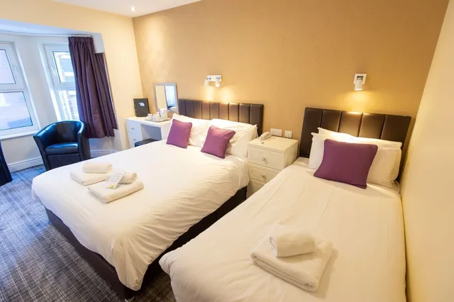 Plus, Single, King Bed، The Palm Court Hotel 2/6