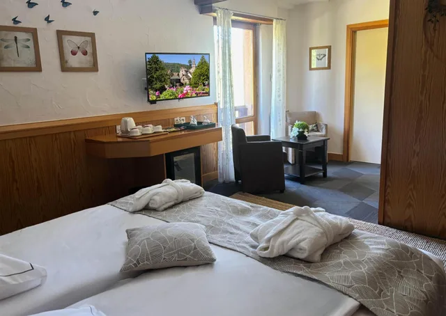 جناح دوبلكس بخمسة أسرّة، Best Western Plus Hotel and SPA Le Schoenenbourg 2/4