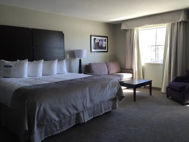 غرفة ديلوكس بسرير كينج، Baymont by Wyndham College Station 3/9
