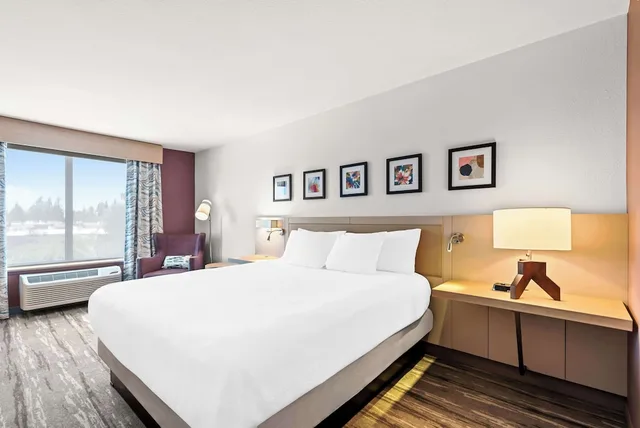 Evolution, King Bed, Hilton Garden Inn Seattle North-Everett 5/9