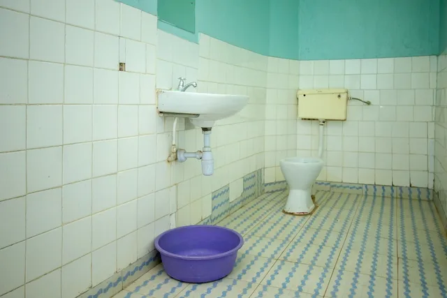 جناح بسرير كوين، Engo Airport Resort Kitale 2/2