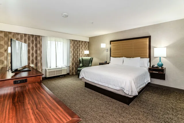 Studio, Suite, King Bed, Sofa, Hampton Inn Brighton Mi 2/7