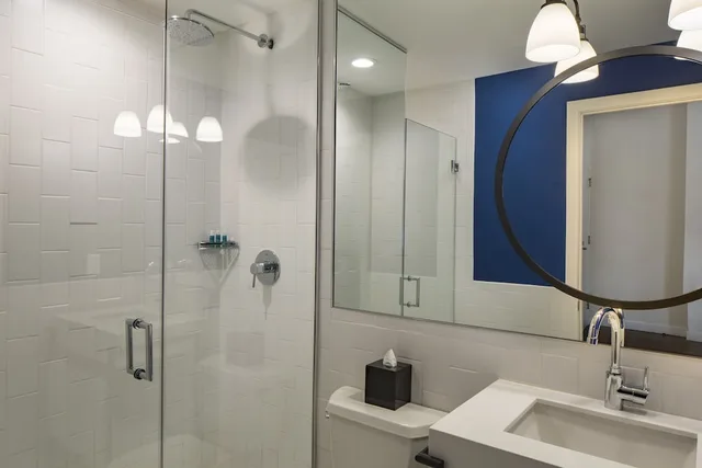 غرفة قياسية بسرير كينج، Hotel Indigo Boston Garden 5/6