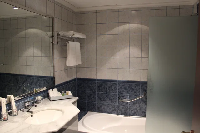 جناح جونيور بسرير كينج، فندق التنفيذيين العليا(Executives Hotel Olaya) 4/4