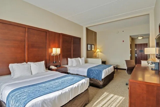 جناح بسريرين كوين مع أريكة، Comfort Suites Manassas Battlefield Park 3/10