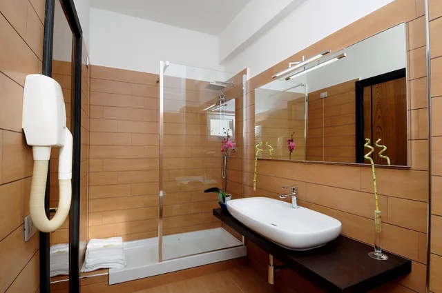 غرفة ديلوكس بسرير كوين، Hotel Euro House Suites 2/2