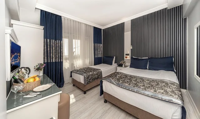 غرفة قياسية بسريرين منفصلين، Hotel Beyazit Palace 9/10