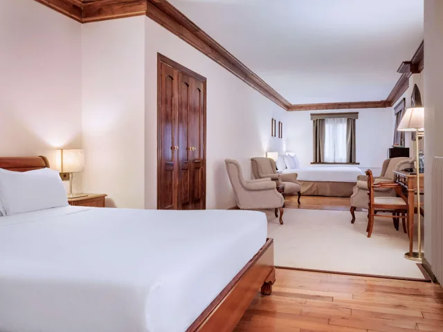 جناح جونيور، Hotel de Tredos Baqueira Affiliated by Melia 1/10