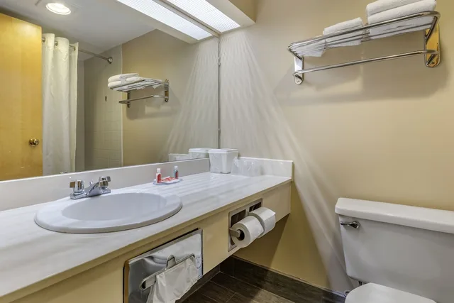 جناح رئاسي بسرير كينج، Econo Lodge & Suites Southern Pines - Pinehurst 2/5