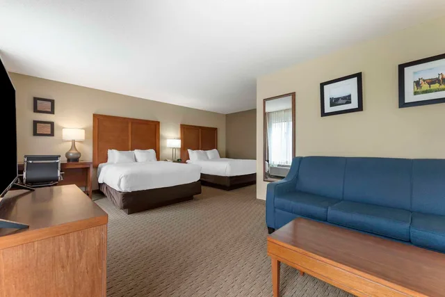 جناح بسريرين كوين لذوي الإعاقة، Comfort Inn and Suites Black River Falls I-94 1/1