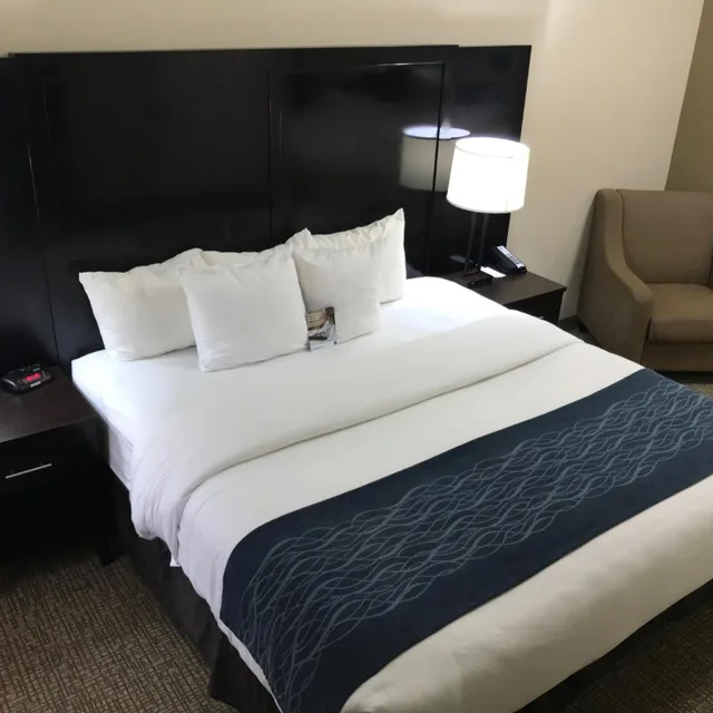 جناح بسرير كينج بجاكوزي لذوي الإعاقة، Comfort Inn & Suites Atlanta/Smyrna 2/7