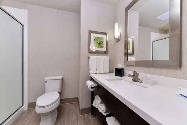 Suite, King Bed, Sofa, Holiday Inn Express & Suites Houston Nw - Tomball Area 7/9