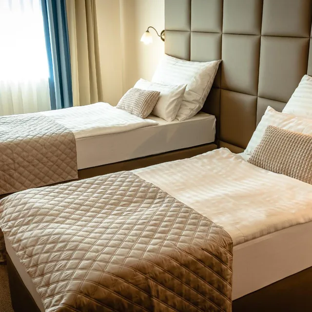 غرفة كومفورت بسريرين منفصلين، Dixon Congress Hotel 7/8