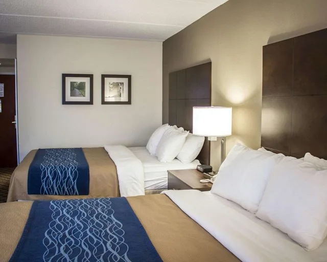 غرفة قياسية بسريرين كوين، Comfort Inn & Suites Fuquay Varina 1/1