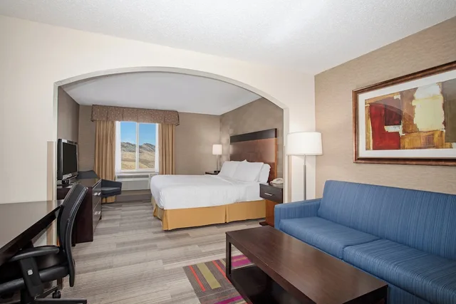غرفة قياسية بسرير كينج مع أريكة، Holiday Inn Express Hotel And Suites Denver Sw Littleton 2/2