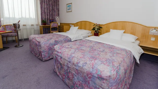 غرفة قياسية بسرير مزدوج أو سريرين منفصلين، Cosmopolitan Bobycentrum - Czech Leading Hotels 1/3
