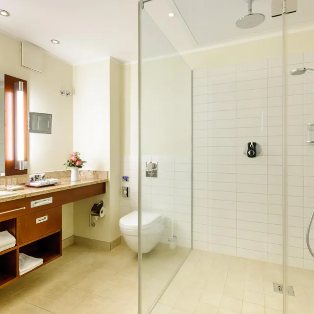Superior, Suite, Mercure Hotel Dusseldorf City Center 10/10