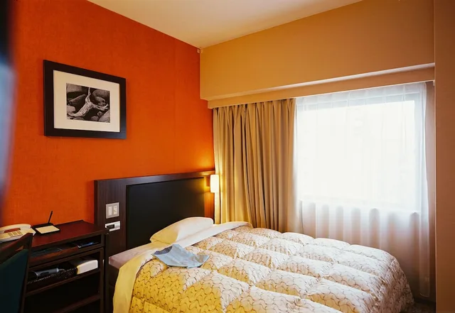 غرفة بسرير مزدوج، Toyama Manten Hotel 2/10