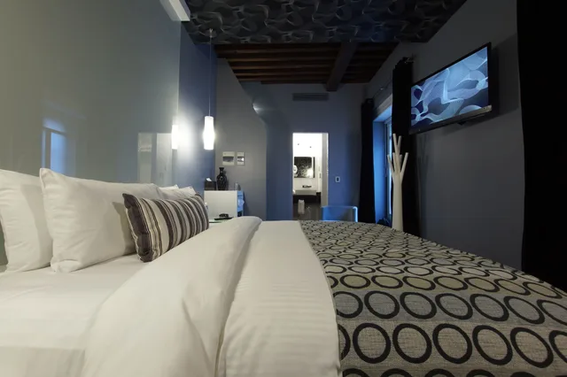 جناح جونيور بسرير كينج، Hotel Boutique 1850 4/5