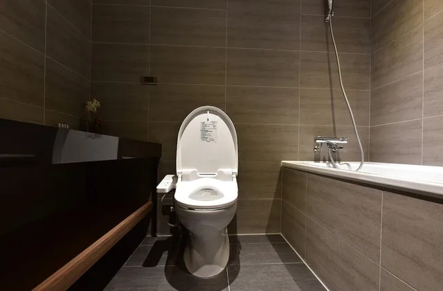 غرفة ديلوكس بسرير مزدوج، Wonstar Hotel Zhong Hua 4/4
