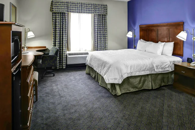 غرفة بسرير كينج لذوي الإعاقة، Hampton Inn Coldwater 2/3