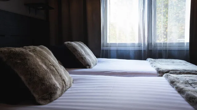 Superior, Suite, Sauna, Kitchen، Golden Circle Suites 2/3