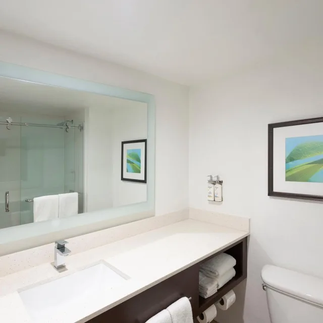 Standard, 1 King or 2 Double Beds، Holiday Inn Resort Aruba-Beach 10/10
