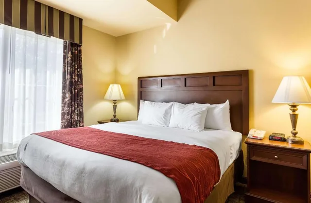 غرفة عائلية بسرير كينج وسرير كوين مع أريكة، Comfort Inn & Suites Blytheville, AR 5/8