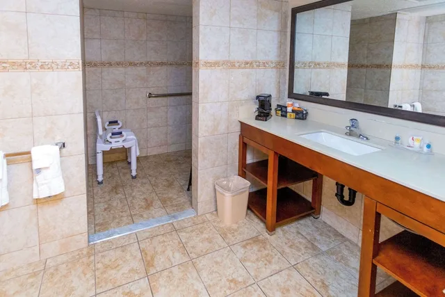 غرفة بسرير كينج لذوي الإعاقة، Comfort Inn Downtown Salt Lake City, UT 3/10