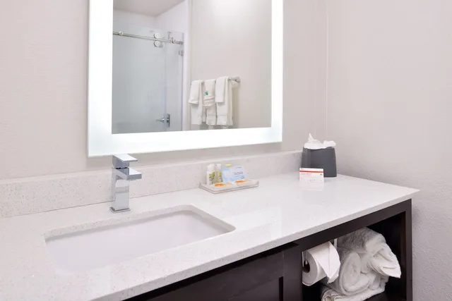 1 Bedroom, Suite, King Bed, Accessible, Holiday Inn Express Hotel And Suites Dallas Addison 5/5