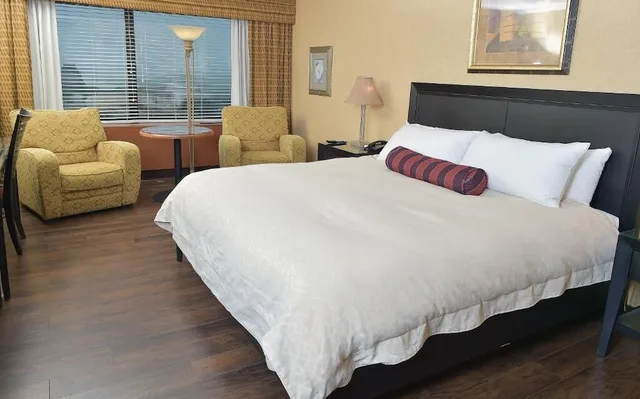 جناح جونيور بسرير كينج، Le Concorde Hotel 1/3
