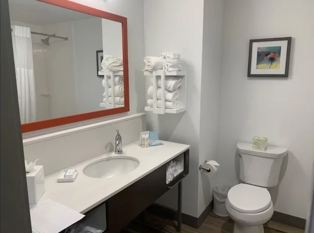 Studio, Suite, King Bed, Accessible, Hampton Inn & Suites Cedar Park North Austin, TX 4/6
