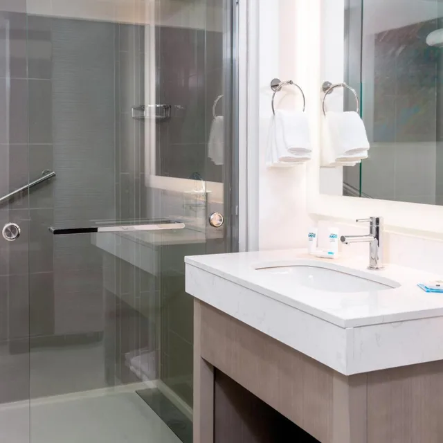 Specialty, Studio, Suite, King Bed، Hyatt House Tampa Airport Westshore 4/4