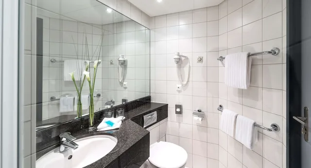 Essential, Triple, Double Bed، Essential By Dorint Basel City 5/5