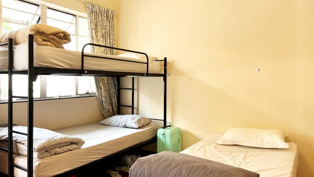 سكن مشترك مختلط بستة أسرّة، Long Street Backpackers - Adults Only 9/10