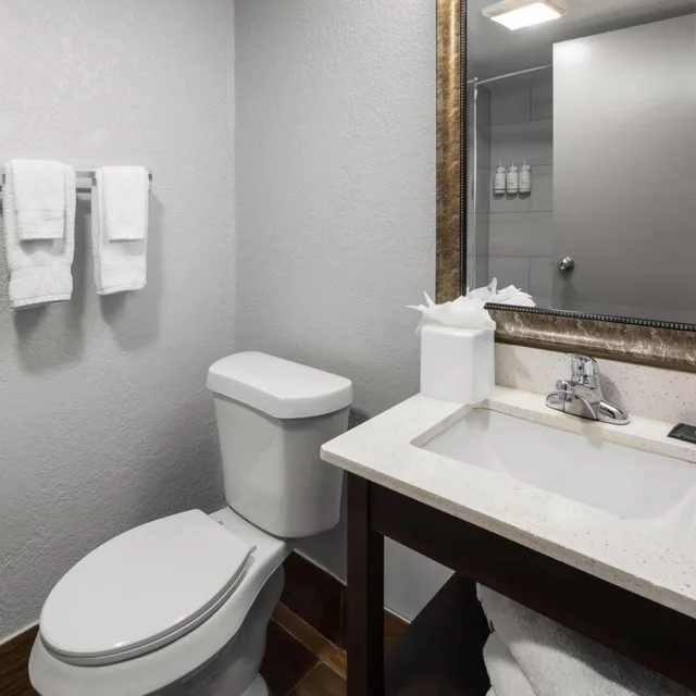 Deluxe, King Bed, Baymont By Wyndham Downtown Detroit 3/5